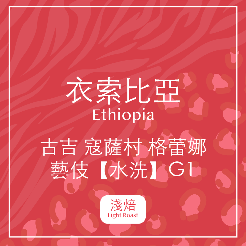 衣索比亞.古吉 寇薩村 格蕾娜 藝伎【水洗】G1(淺焙)