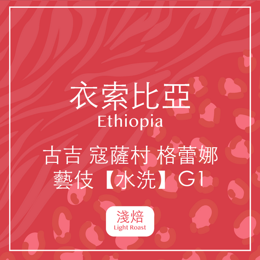 衣索比亞．古吉 寇薩村 格蕾娜 藝伎【水洗】G1(淺焙)