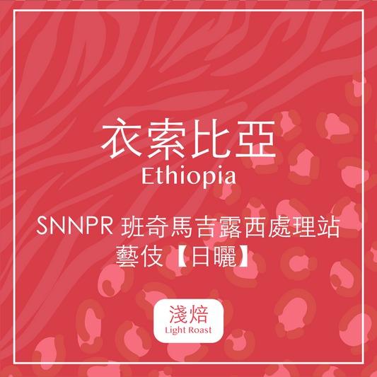 衣索比亞．SNNPR 班奇馬吉 露西處理站  藝伎【日曬】(淺焙)