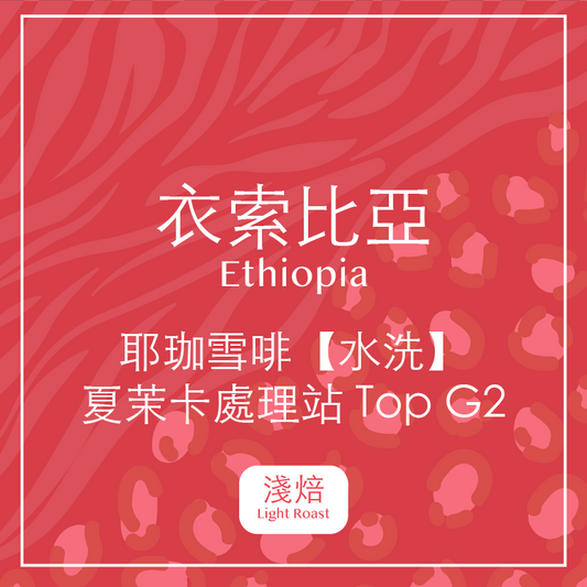 衣索比亞・耶珈雪啡【水洗】夏茉卡處理站 Top G2  (淺焙)