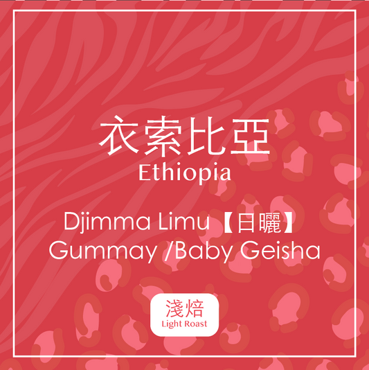 衣索比亞・Djimma Limu【日曬】 Gummay /Baby Geisha(淺焙)